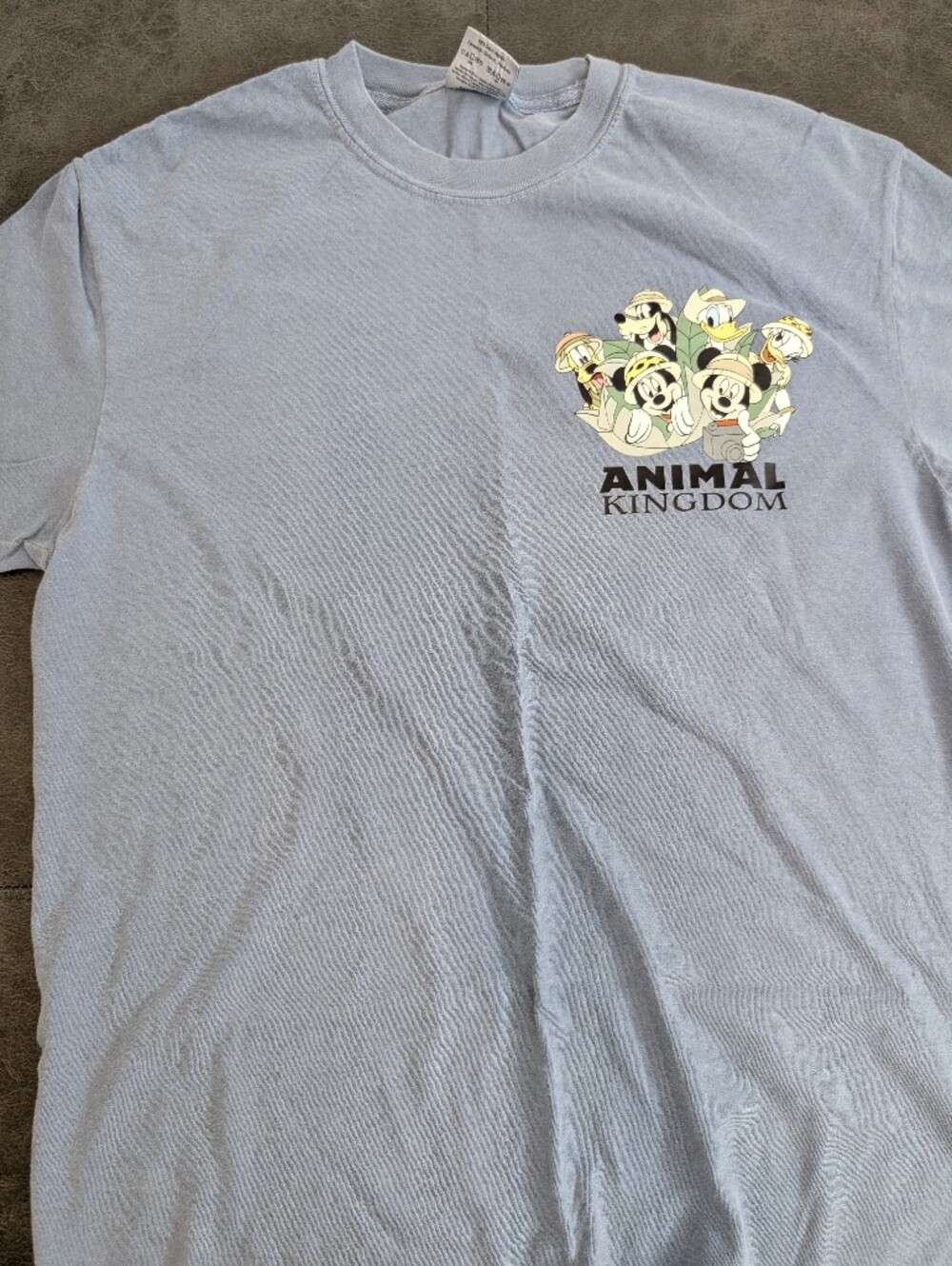Comfort Colors Light Blue DISNEY'SAnimal Kingdom Graphic Tee